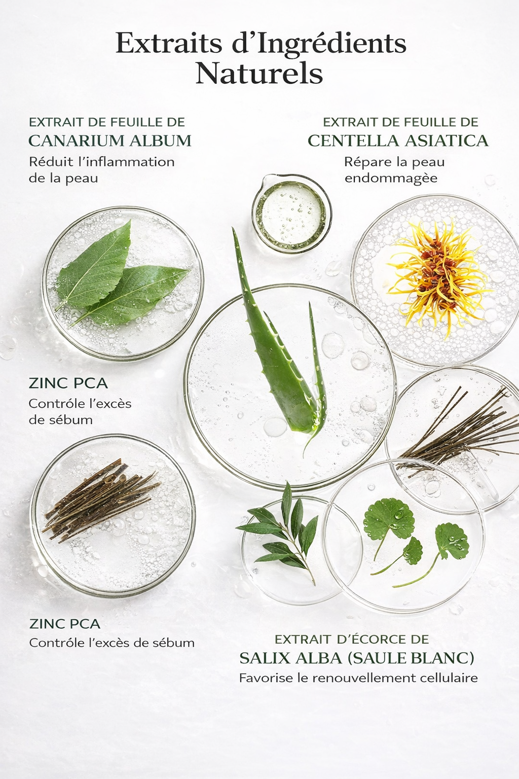 Soins du visage Nettoyant - Crème + Lotion Gel